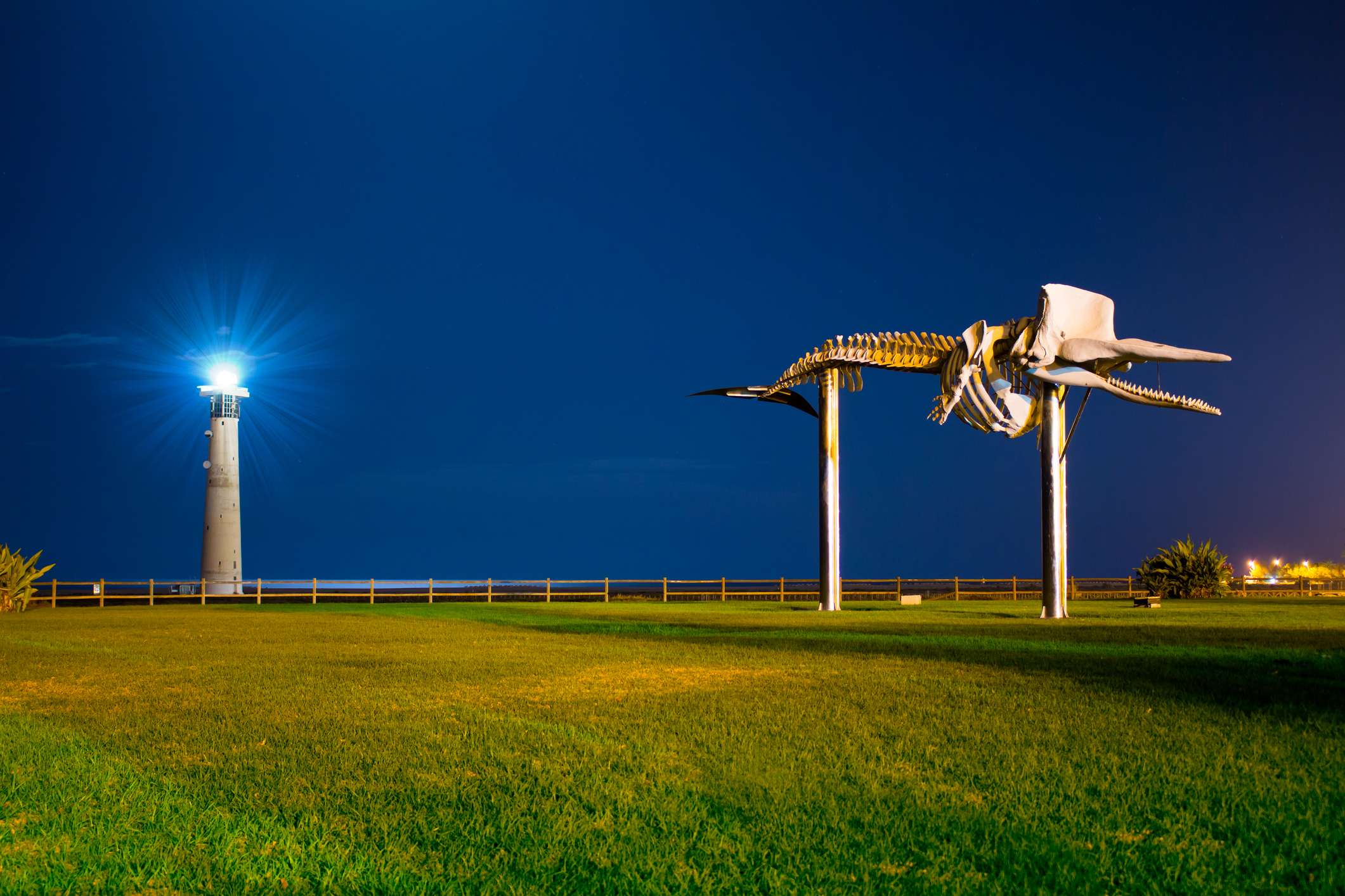Morro Jable Skelett Leuchtturm Nightview