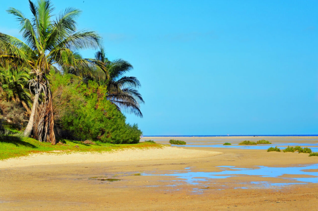 Sotavento Beach in Fuerteventura Canary Islands by Insider Fuerteventura