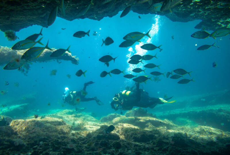 divers in immersion near the reef, fuerteventura canary islands by InsiderFuerteventura
