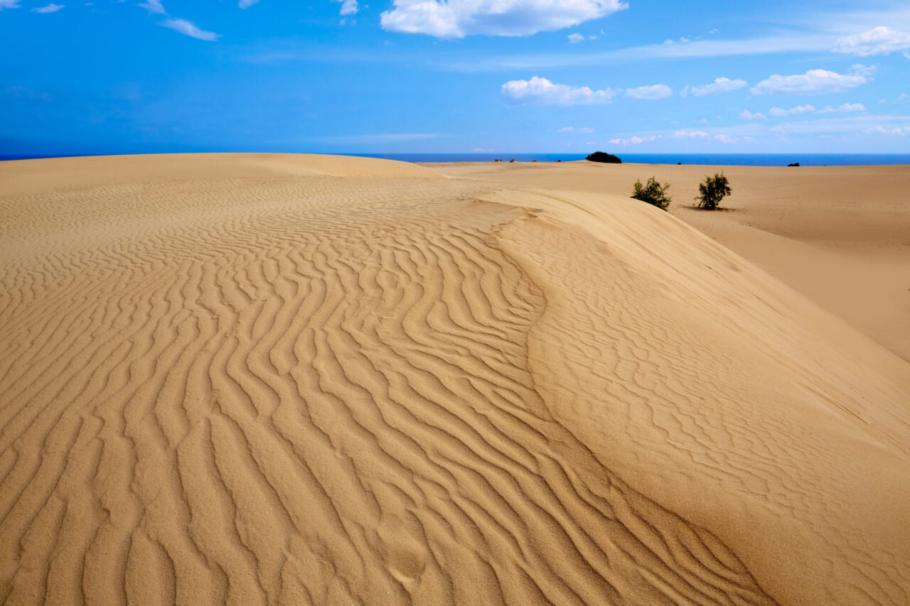 Corralejo dunes Fuerteventura island desert 02 by InsiderFuerteventura
