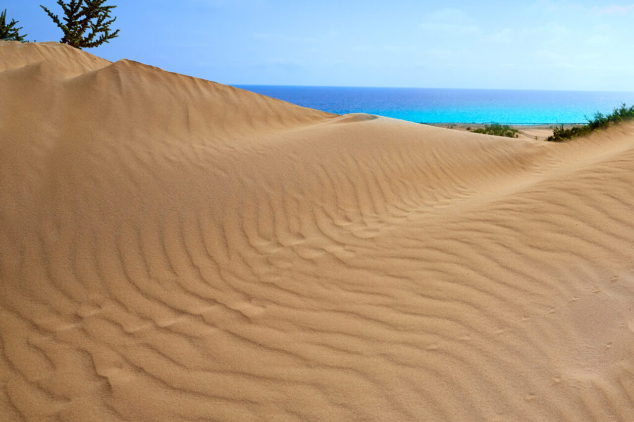 Corralejo dunes Fuerteventura island desert by InsiderFuerteventura