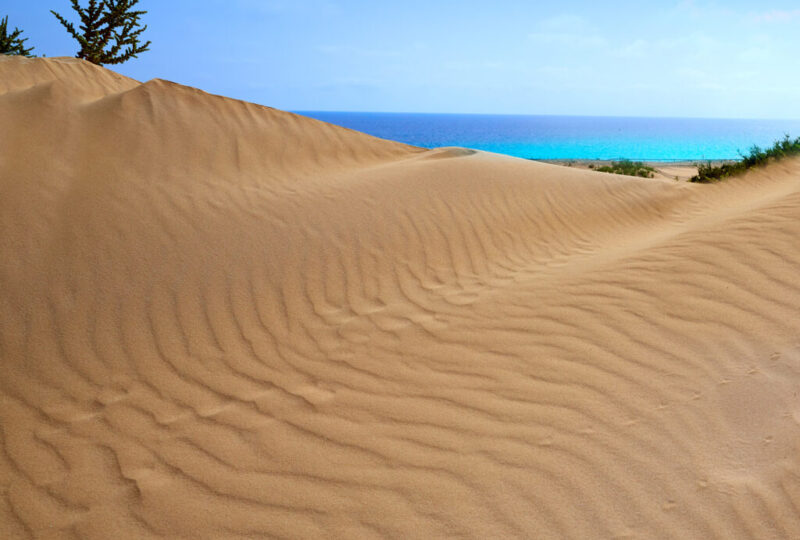 Corralejo dunes Fuerteventura island desert by InsiderFuerteventura