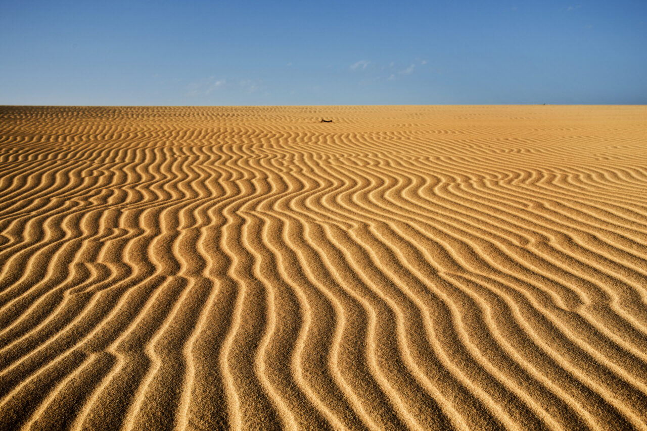 Corralejo Sand & Wind Dünen by InsiderFuerteventura