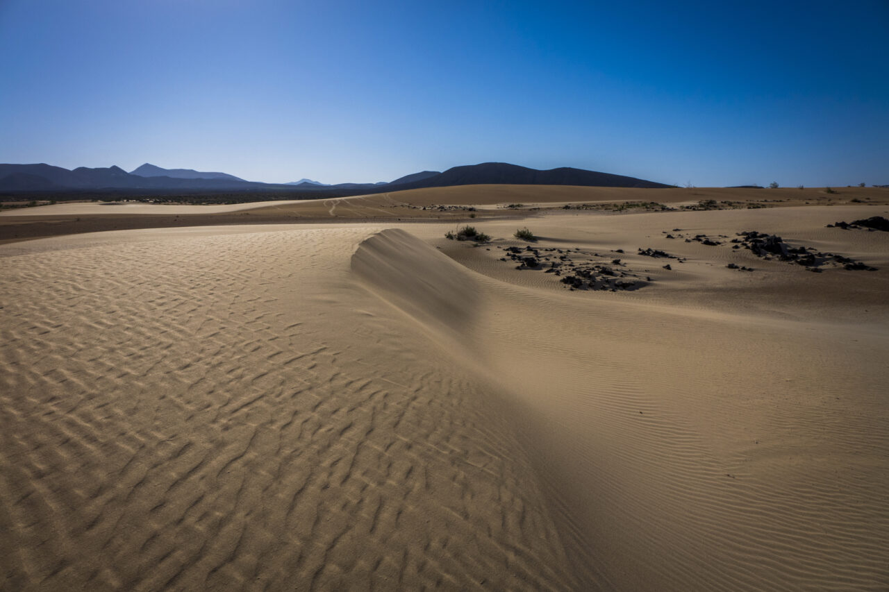 The Nature reserve, Park Natural, Corralejo by InsiderFuerteventura