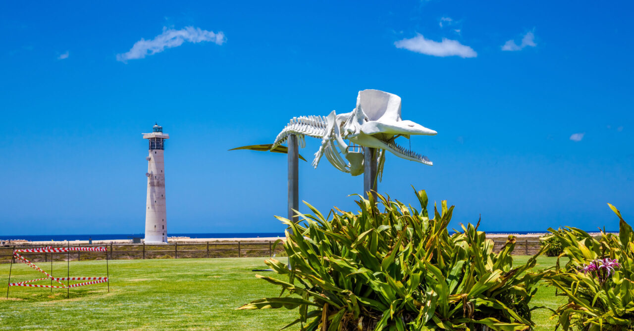 Jandia-Playa-de-Matorral by InsiderFuerteventura
