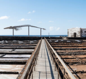 Las Salinas del Carmen & Walskelett by InsiderFuerteventura
