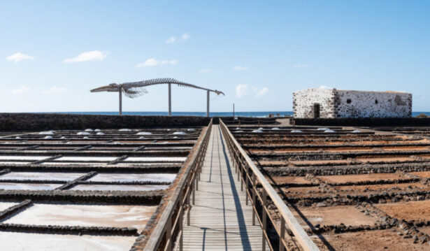 Las Salinas del Carmen & Walskelett by InsiderFuerteventura