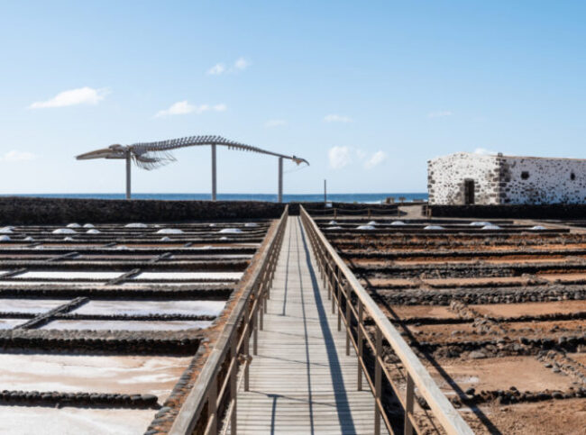 Las Salinas del Carmen & Walskelett by InsiderFuerteventura