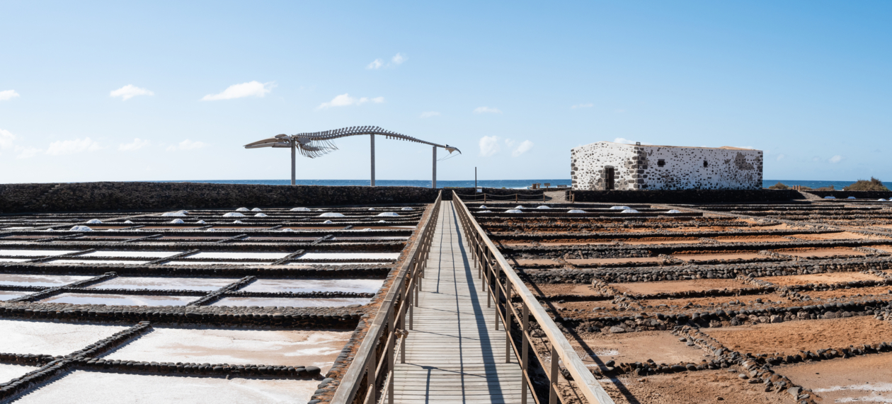 Las Salinas del Carmen & Walskelett by InsiderFuerteventura