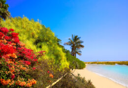 34 Traumstrände Geheimtipp Playa de Sotavento by InsiderFuerteventura