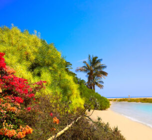 34 Traumstrände Geheimtipp Playa de Sotavento by InsiderFuerteventura