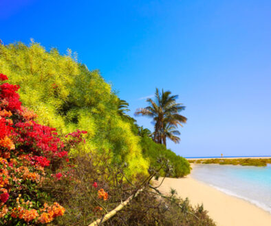 34 Traumstrände Geheimtipp Playa de Sotavento by InsiderFuerteventura