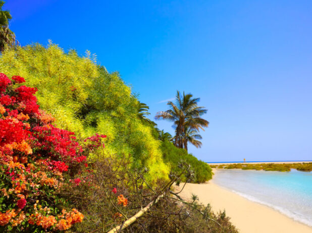 Geheimtipp Playa de Sotavento by InsiderFuerteventura