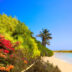 34 Traumstrände Geheimtipp Playa de Sotavento by InsiderFuerteventura