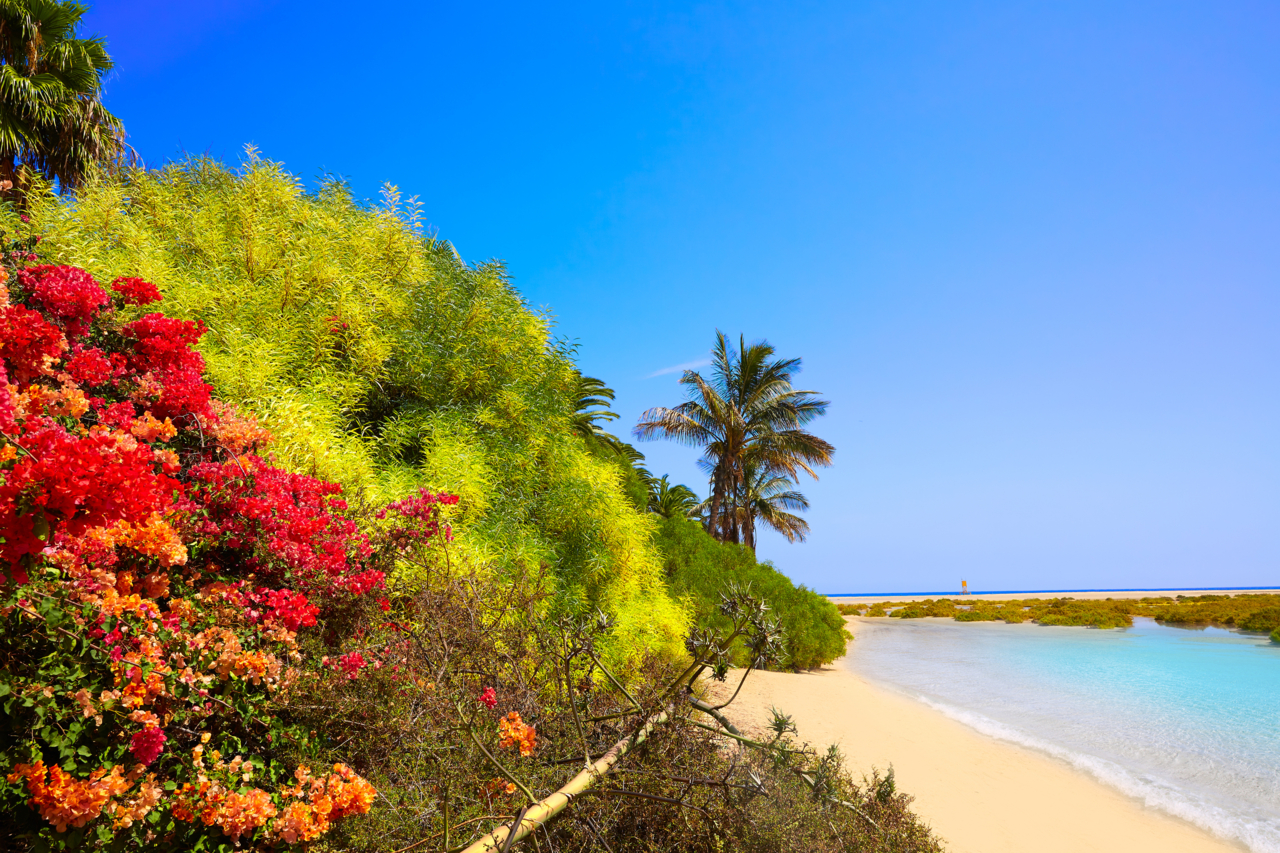 Geheimtipp Playa de Sotavento by InsiderFuerteventura