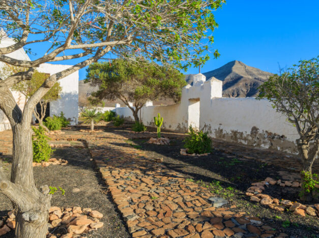 Tefia 02 by Insider Fuerteventura