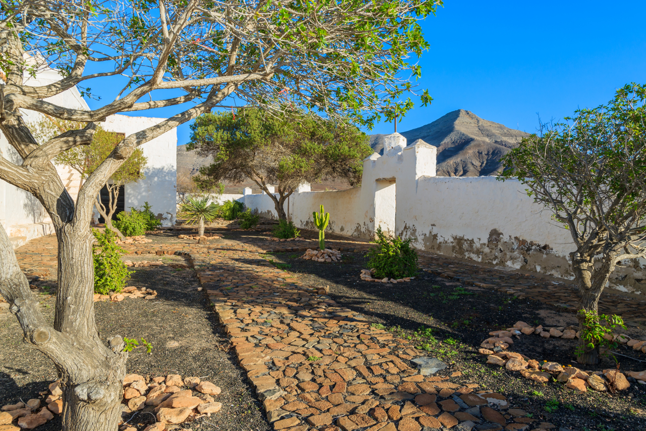 Tefia 02 by Insider Fuerteventura