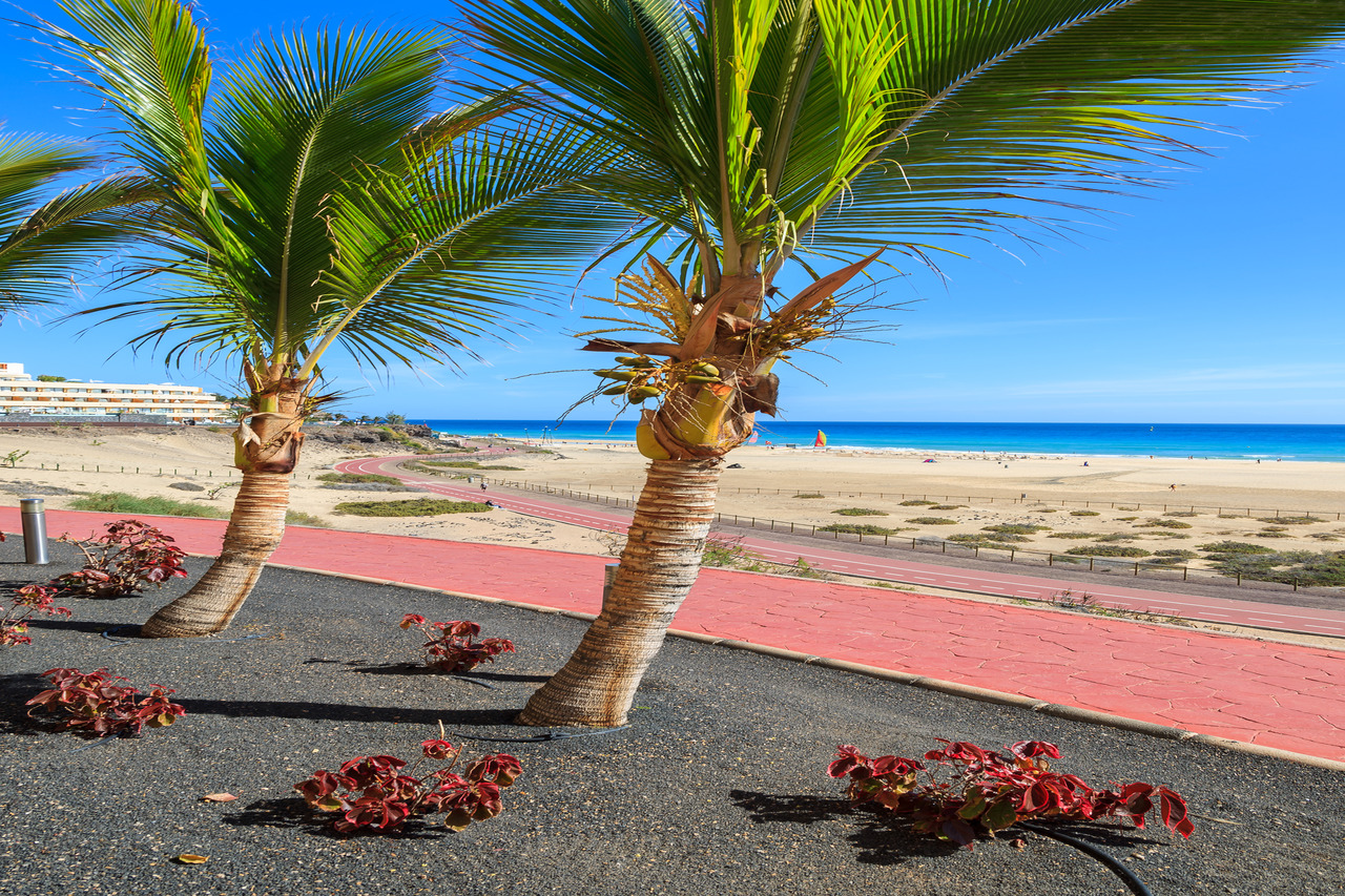 Playa de Jandia Morro Jable Skater & Biker Piste by InsiderFuerteventura