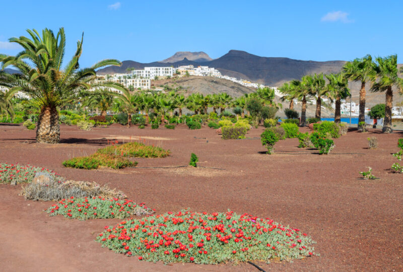 Las Playitas Hotel Ressort by InsiderFuerteventura