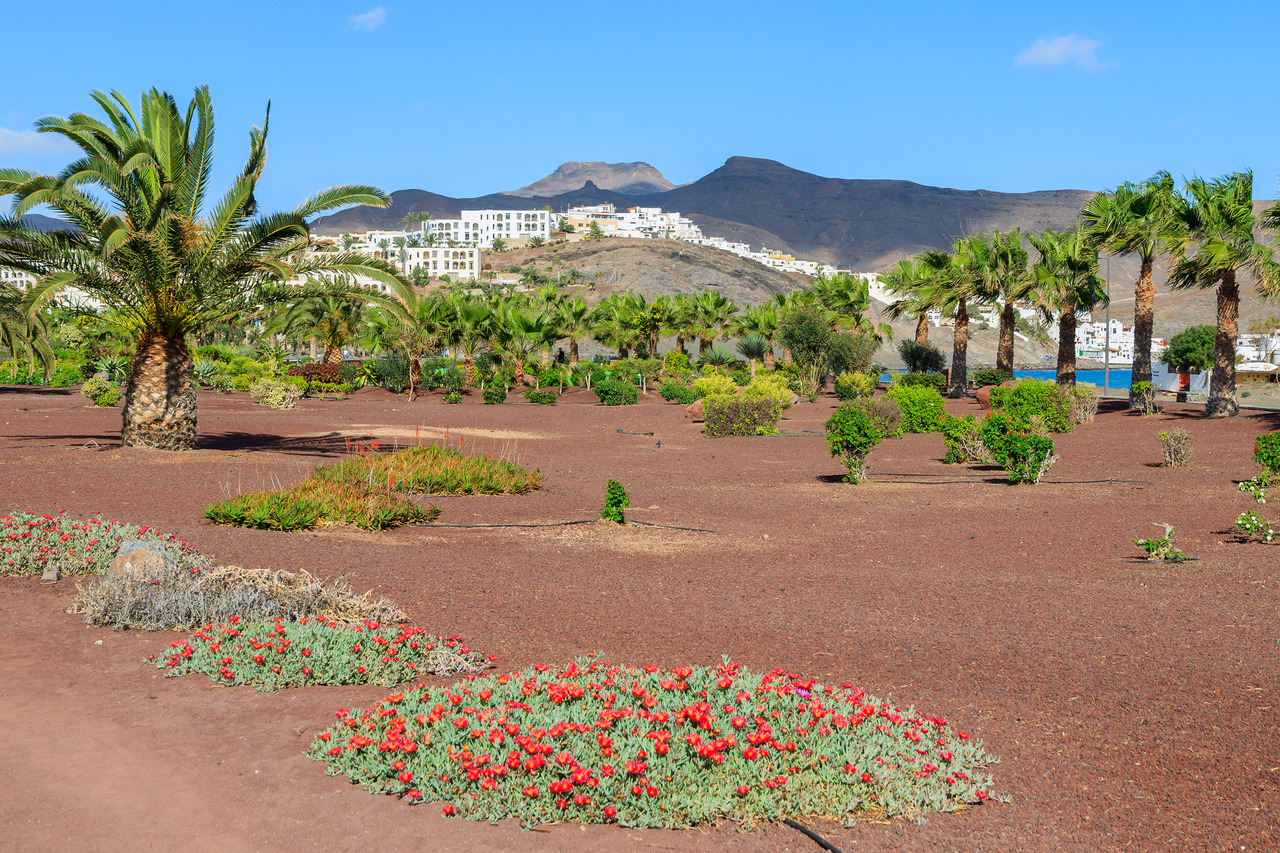 Las Playitas Hotel Ressort by InsiderFuerteventura