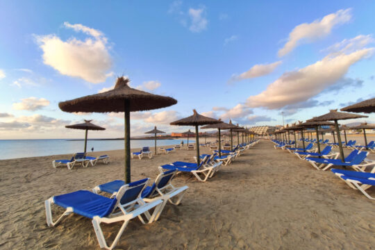 Playa Caleta de Fuste Sonneliegen & Schirme by InsiderFuerteventura