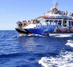 Glasbodenboot Odysee 3 Bootsausflüge im Süden by Insider Fuerteventura