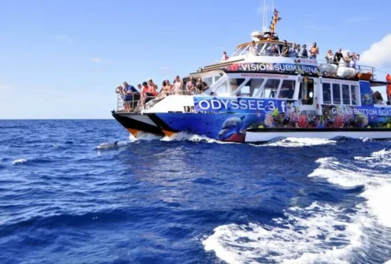 Glasbodenboot Odysee 3 Bootsausflüge im Süden by Insider Fuerteventura